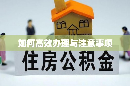 延庆如何高效办理与注意事项