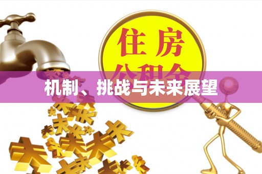 延庆机制、挑战与未来展望